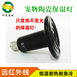 探尋寵物蜂產業 從價格、采購到供應商的全面解析